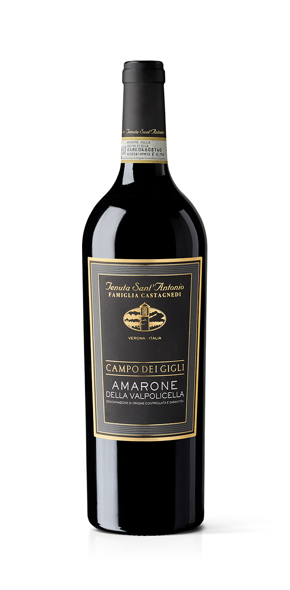Amarone della Valpolicella DOCG - Campo dei Gigli
