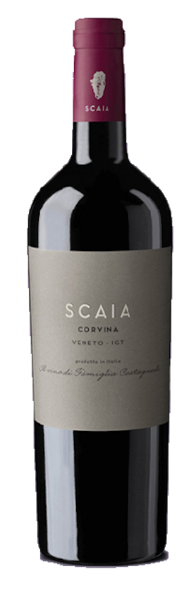 Scaia Corvina
